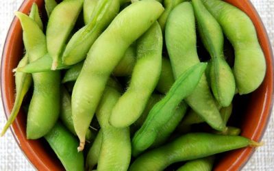 Ekstra Keunggulan Si Kecil Edamame