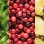 Ketika Nanas dan Kranberi Bertemu dengan Kebaikan Kedelai, Apa Manfaatnya Untuk Tubuh?